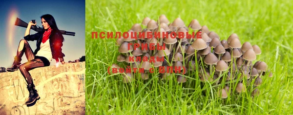 дмт Михайловск