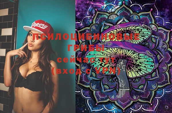 spice Михайлов