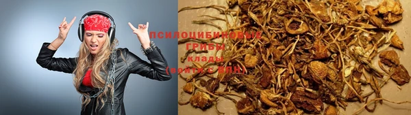 дмт Михайловск