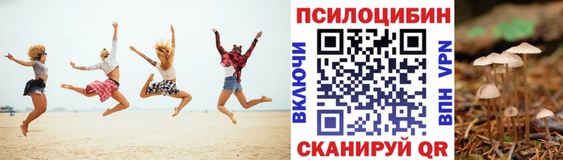 закладки  Михайловка  Галлюциногенные грибы Psilocybe 
