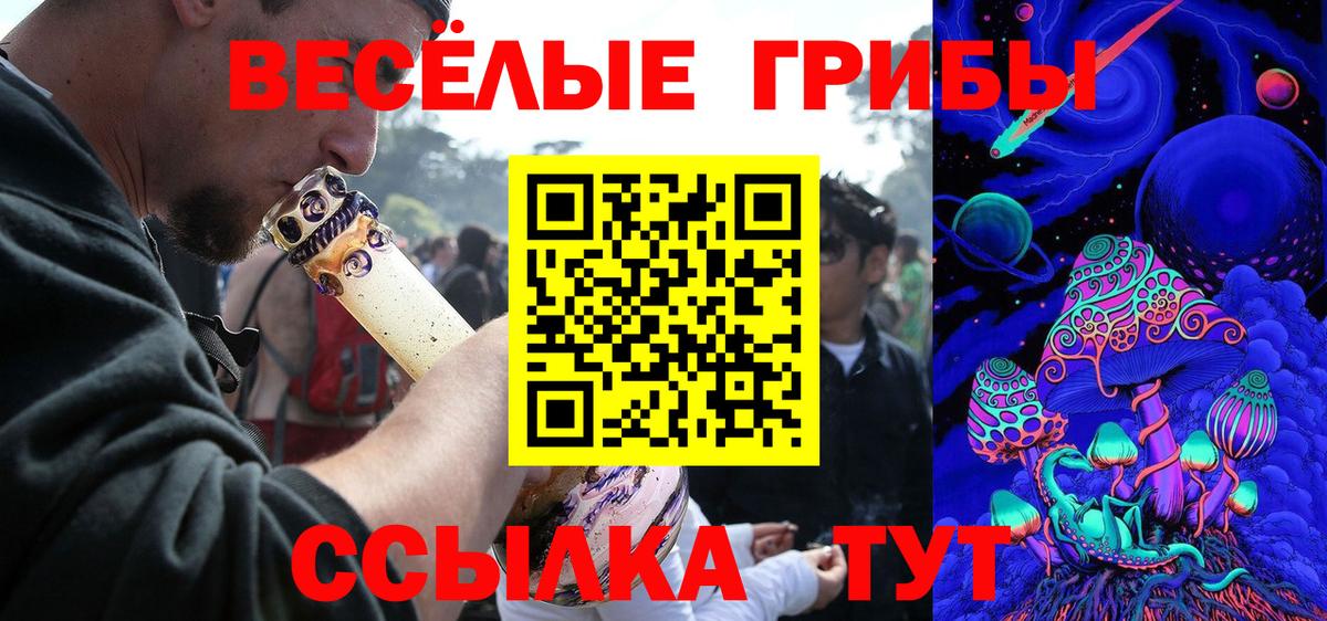 Псилоцибиновые грибы Psilocybe Михайловка