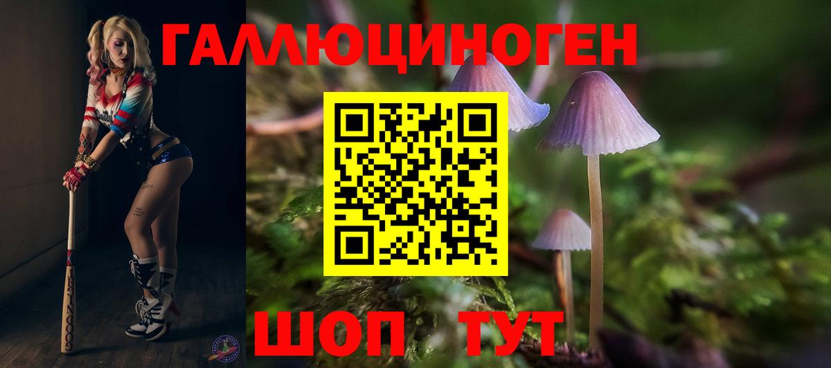 Псилоцибиновые грибы MAGIC MUSHROOMS  Михайловка  Галлюциногенные грибы Psilocybine cubensis 