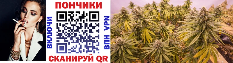 Бошки марихуана THC 21% Михайловка